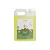  Spray repelente de mosquitos con citronela Fitz Fitz 100 ml - Phutawan de Tailandia