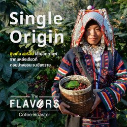 Thai Doi Pangkhon Coffee Beans: Medium-Dark Roast | Chiang Rai