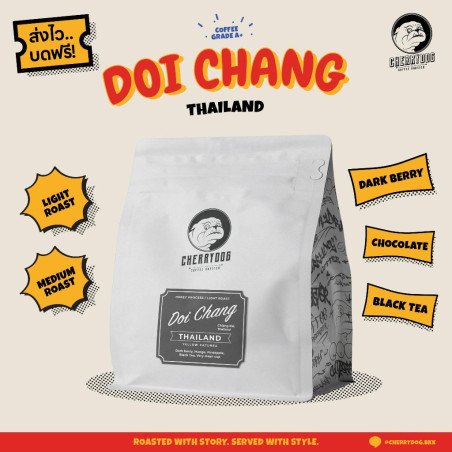 Chiang Rai Doi Chang Honey Process Kaffeebohnen | Thailand