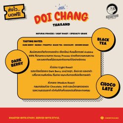 Chiang Rai Doi Chang Honey Process Kaffeebohnen | Thailand