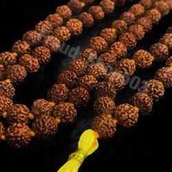 Authentic Shiva's Tear Mala Beads from Thailand