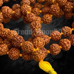 Authentic Shiva's Tear Mala Beads from Thailand