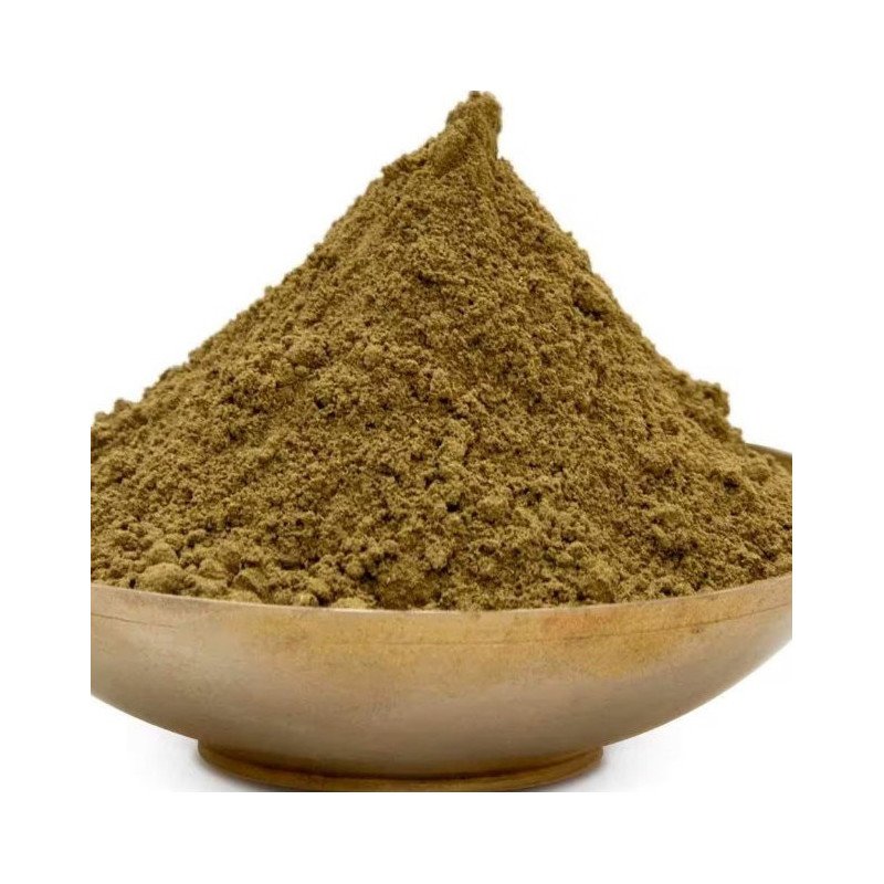 Avicennia Marina Powder from Thailand 100g