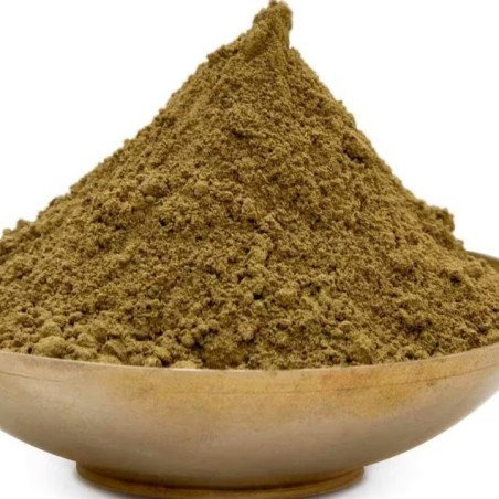 Avicennia Marina Powder from Thailand 100g