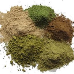 Avicennia Marina Powder from Thailand 100g