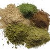 Avicennia Marina Powder from Thailand 100g