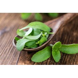 Dried Stevia From Thailand