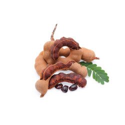 Poudre de Tamarind Mûr - de Thaïlande