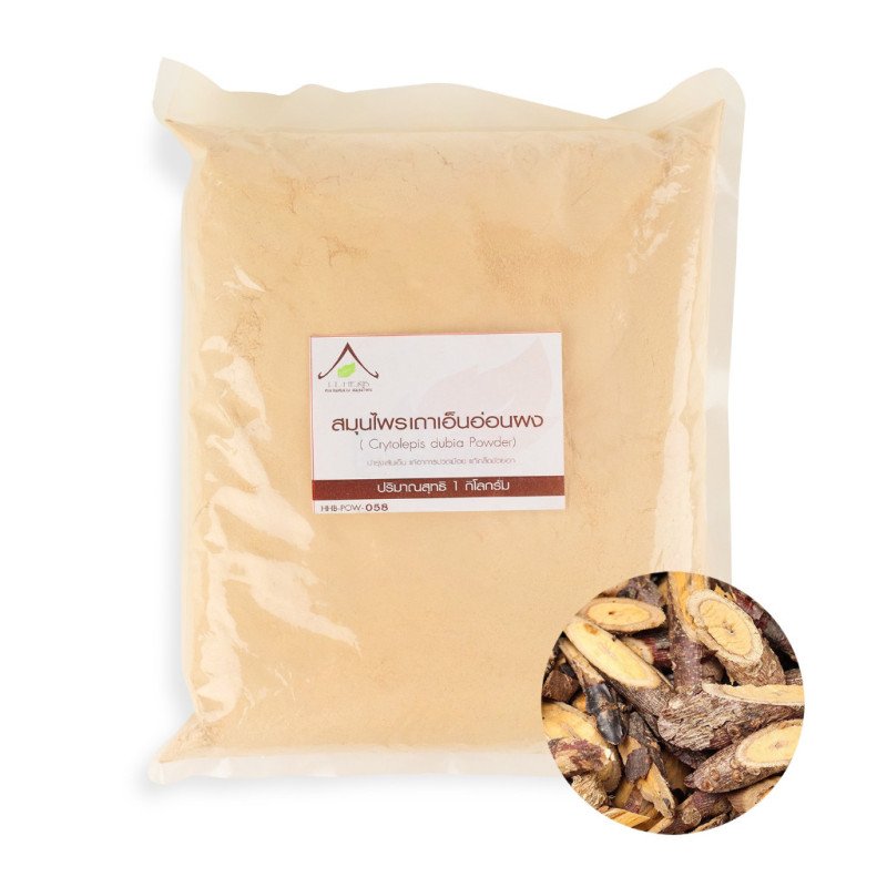 Cryptolepis Dubia Powder from Thailand Cryptolepis Dubia Powder from Thailand