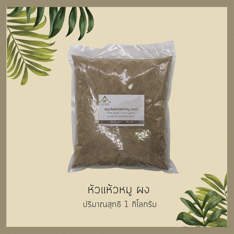 タイのナッツグラスパウダー