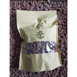 Fermented cacao beans unroasted, unhulled - Thailand