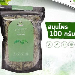 タイからのステビア茶