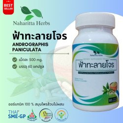 Organic Andrographis Paniculata Capsules - From Thailand